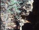 Alligator Gorge The Narrows 1