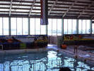 School Trip Adelaide Marineland 1
